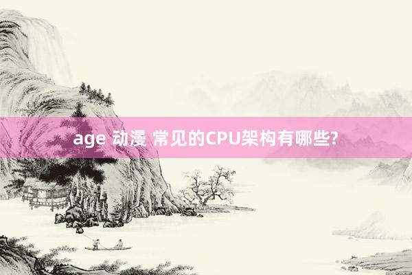 age 动漫 常见的CPU架构有哪些?