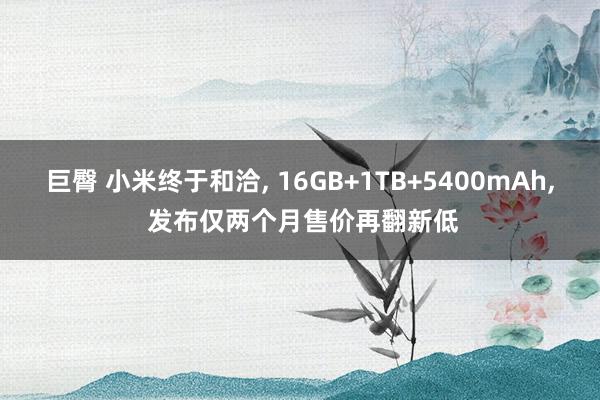 巨臀 小米终于和洽， 16GB+1TB+5400mAh， 发布仅两个月售价再翻新低