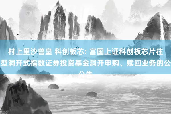 村上里沙兽皇 科创板芯: 富国上证科创板芯片往来型洞开式指数证券投资基金洞开申购、赎回业务的公告