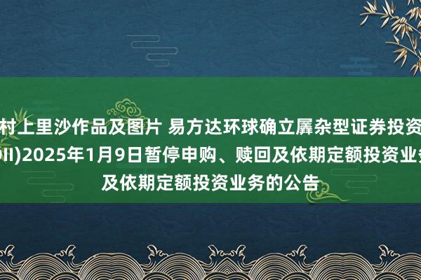 村上里沙作品及图片 易方达环球确立羼杂型证券投资基金(QDII)2025年1月9日暂停申购、赎回及依期定额投资业务的公告