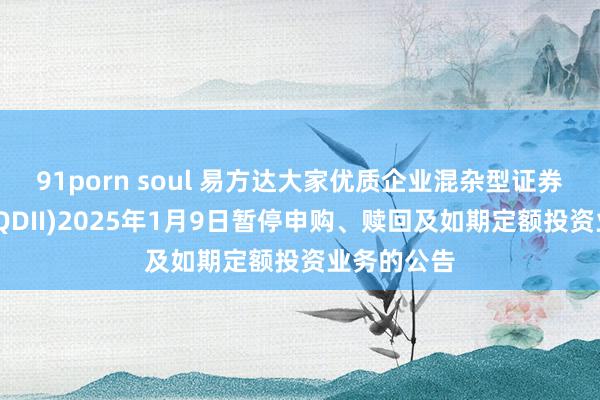 91porn soul 易方达大家优质企业混杂型证券投资基金(QDII)2025年1月9日暂停申购、赎回及如期定额投资业务的公告