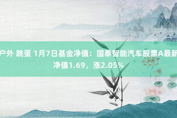 户外 跳蛋 1月7日基金净值：国泰智能汽车股票A最新净值1.69，涨2.05%