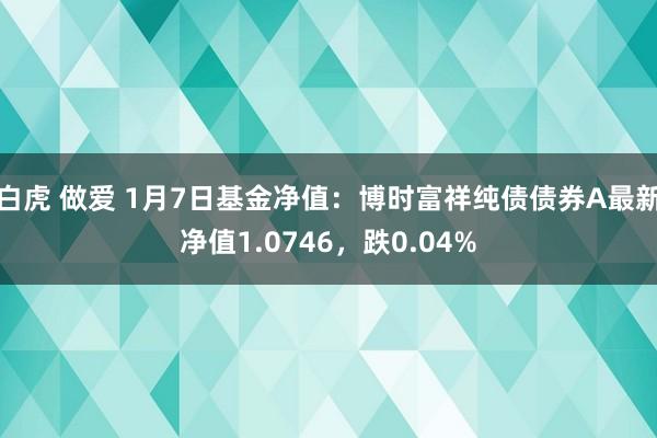 白虎 做爱 1月7日基金净值：博时富祥纯债债券A最新净值1.0746，跌0.04%