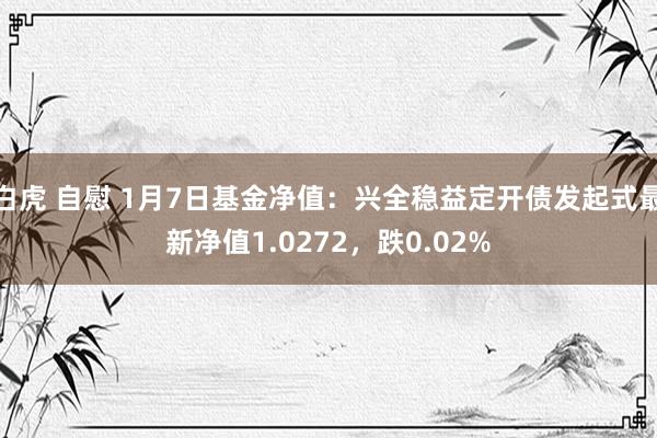 白虎 自慰 1月7日基金净值：兴全稳益定开债发起式最新净值1.0272，跌0.02%