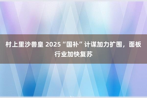 村上里沙兽皇 2025“国补”计谋加力扩围，面板行业加快复苏