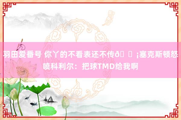 羽田爱番号 你丫的不看表还不传😡塞克斯顿怒喷科利尔：把球TMD给我啊