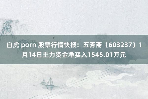 白虎 porn 股票行情快报：五芳斋（603237）1月14日主力资金净买入1545.01万元