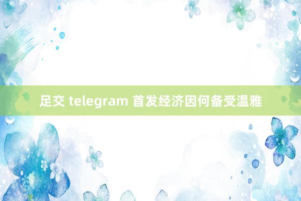 足交 telegram 首发经济因何备受温雅