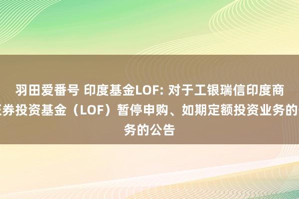 羽田爱番号 印度基金LOF: 对于工银瑞信印度商场证券投资基金（LOF）暂停申购、如期定额投资业务的公告