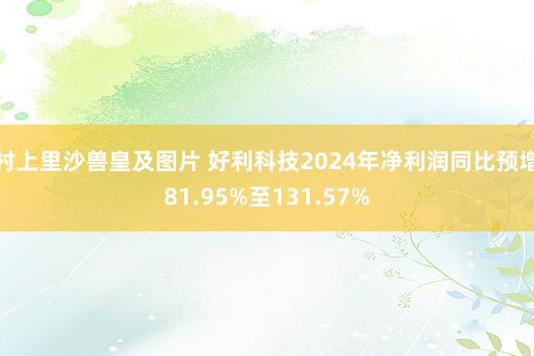 村上里沙兽皇及图片 好利科技2024年净利润同比预增81.95%至131.57%